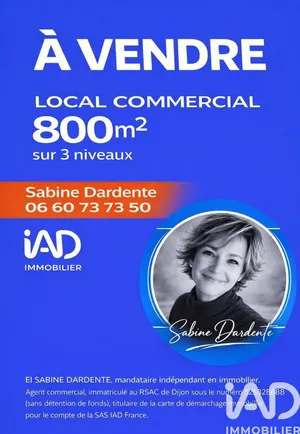 Murs commerciaux  à Dole (39100)