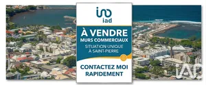 Commercial walls in Saint-Pierre (97410)