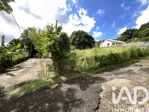 Terrain à Ducos (97224)