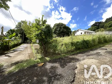 Terrain à Ducos (97224)