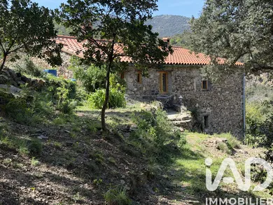 Mas in CALMEILLES (66400)