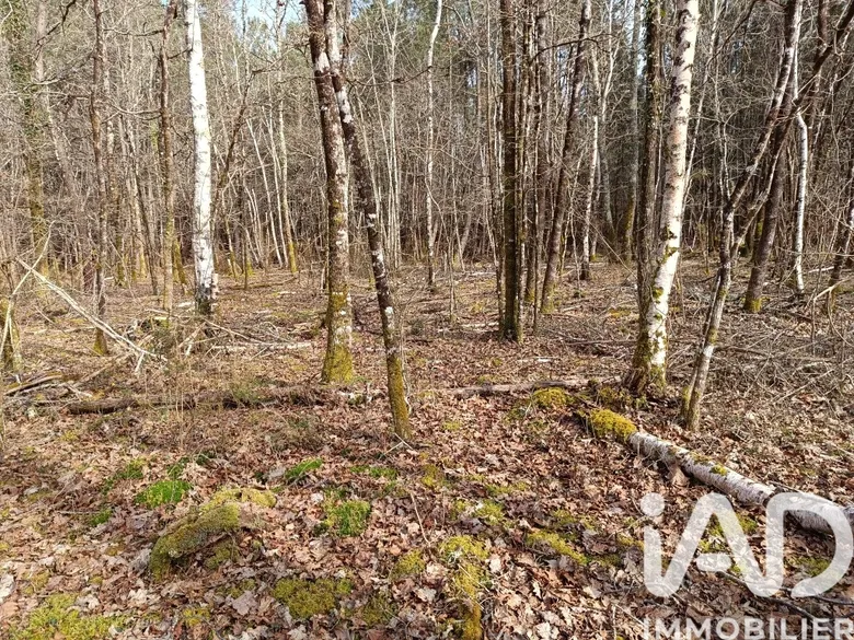 Terrain à Lesparre-Médoc (33340) · 12 000 €