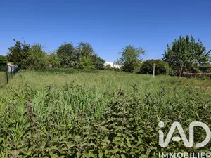 Land in Illies (59480)