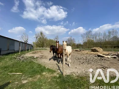 Ferme à Vimory (45700)