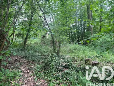 Terrain à Guérard (77580)