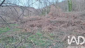 Terrain agricole  à Prats-de-Mollo-la-Preste (66230)