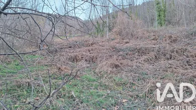 Farm land in Prats-de-Mollo-la-Preste (66230)