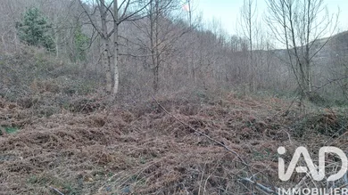 Farm land in Prats-de-Mollo-la-Preste (66230)