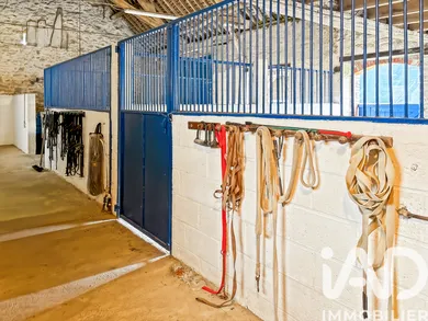 Horses property in Évron (53600)