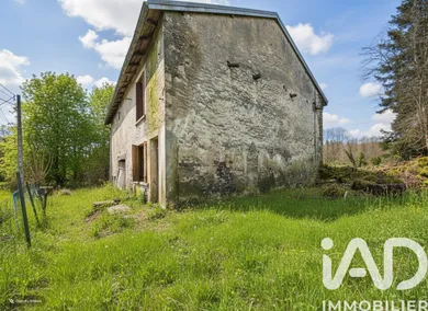 House in La Chapelle-aux-Bois (88240)