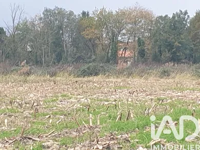 Farm land in Saint-Pierre-de-Buzet (47160)