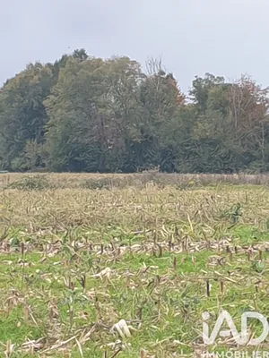 Terrain agricole  à Saint-Pierre-de-Buzet (47160)