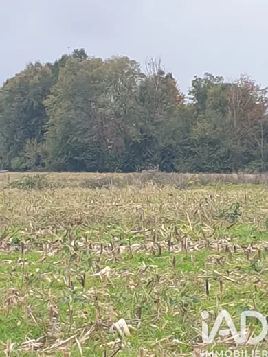Terrain agricole  à Saint-Pierre-de-Buzet (47160)