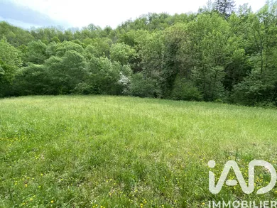 Terrain à AYSSÈNES (12430)