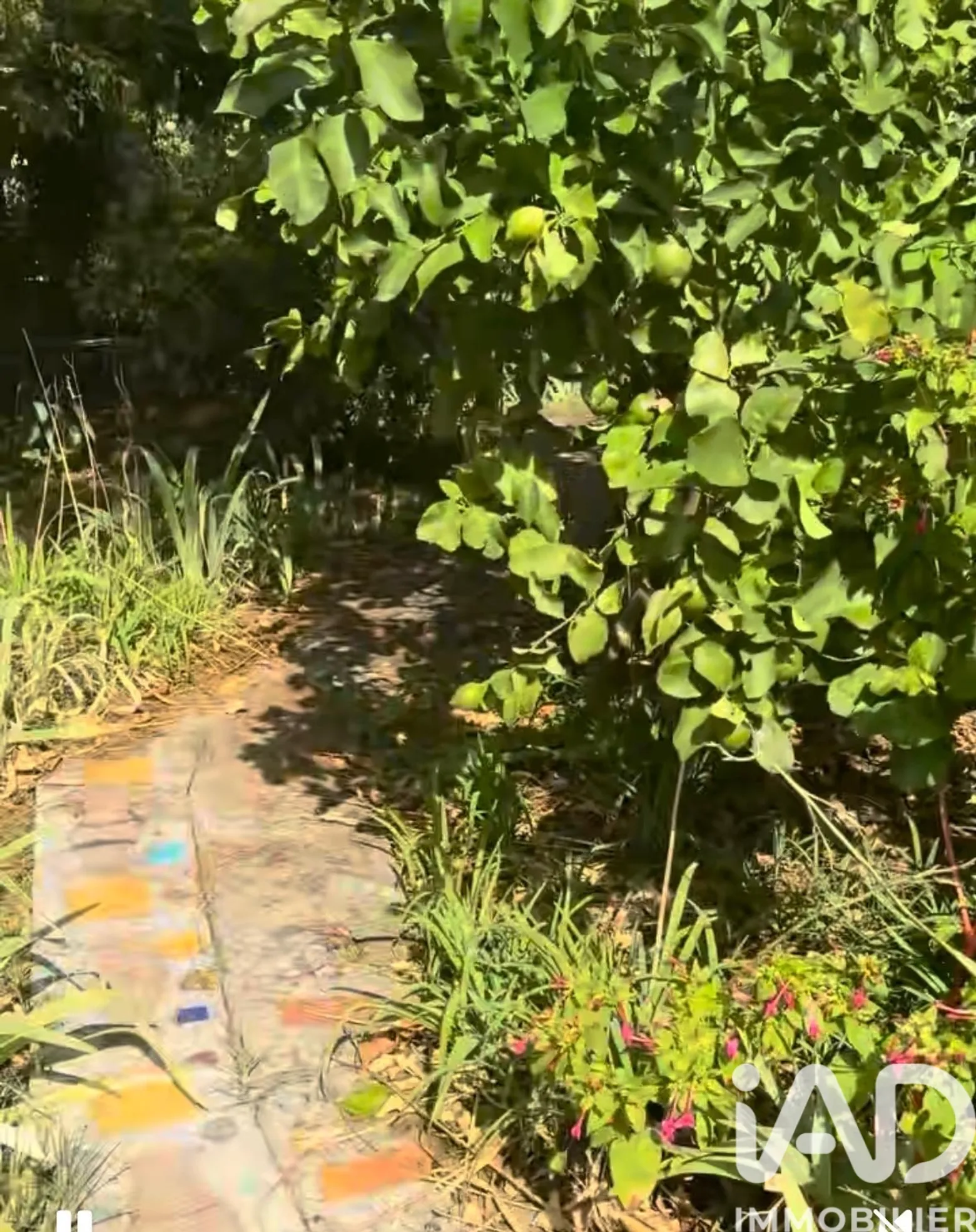 Vente appartement à Vallauris (06220) : appartement 3 pièces 80 m² - 2015251 — 3