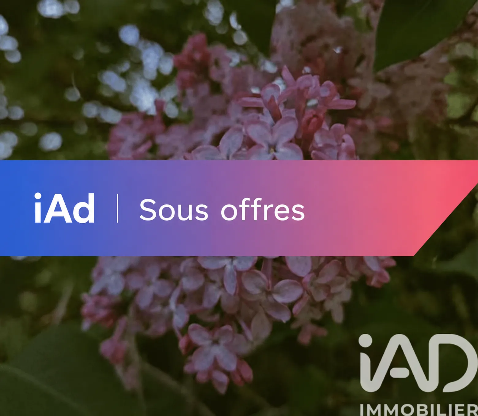 Vente maison à Dalem (57550) : maison 5 pièces 130 m² — 6