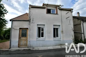 House in Ouzouer-sur-Trézée (45250)