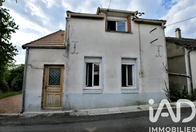 House in Ouzouer-sur-Trézée (45250)
