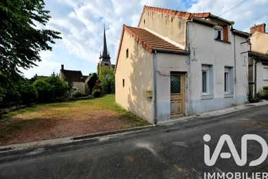 House in Ouzouer-sur-Trézée (45250)