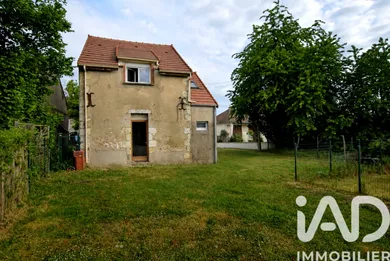 House in Ouzouer-sur-Trézée (45250)