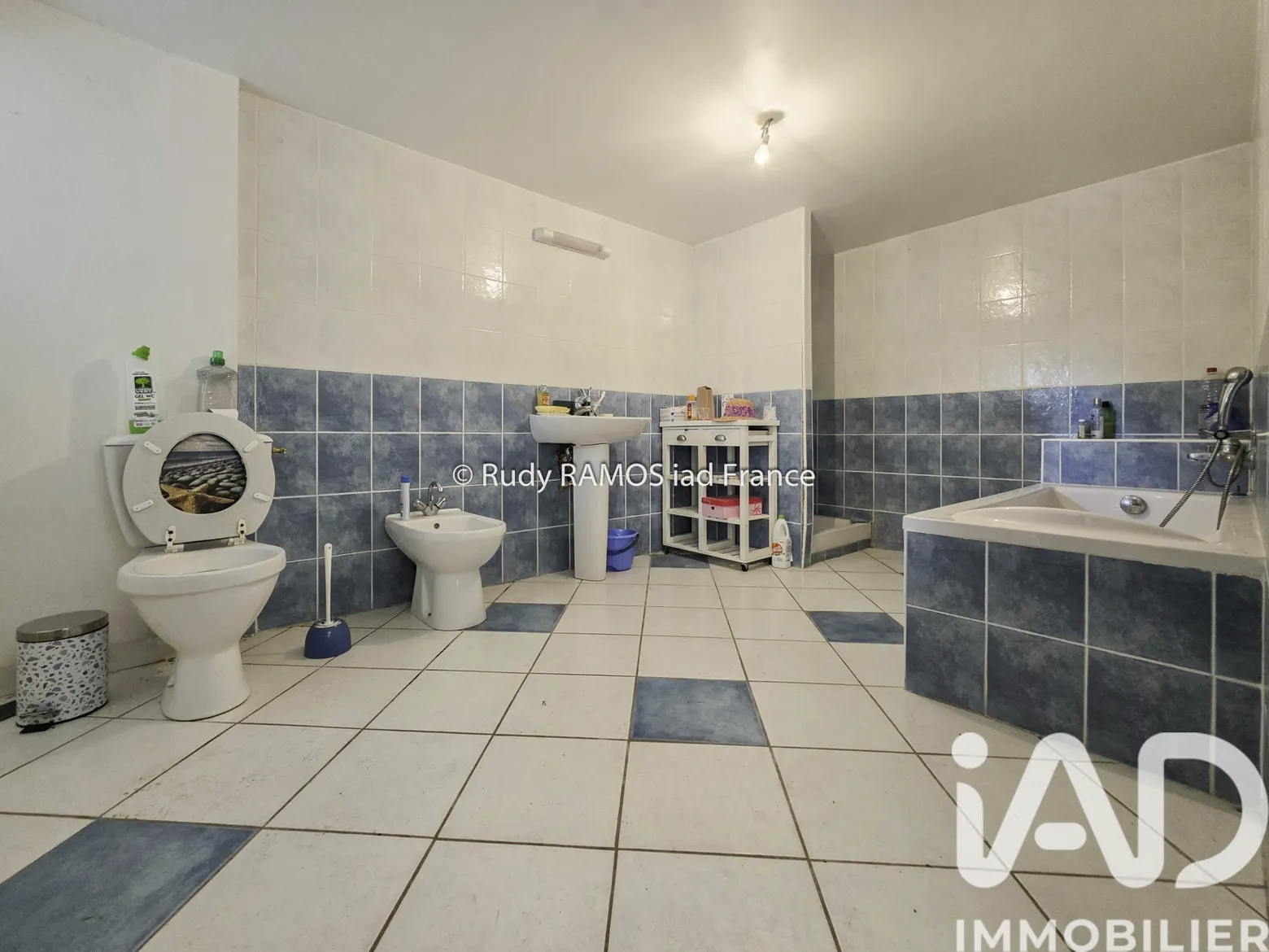 Vente maison à Sévérac d'Aveyron (12150) : maison 3 pièces 74 m² - 2018649 — 2