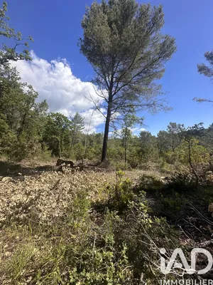 Terrain à Claviers (83830)