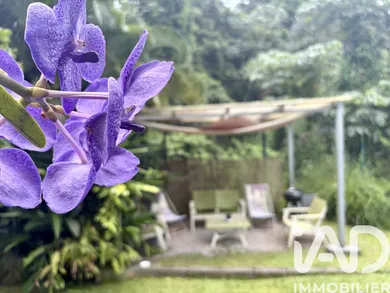 House in Gros-Morne (97213)