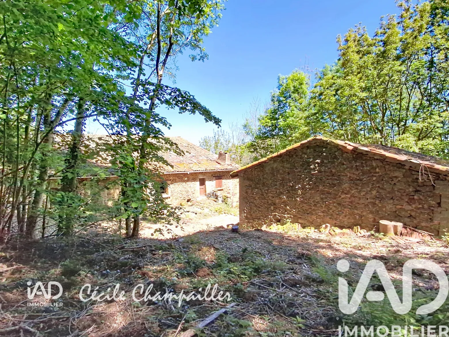 Vente maison à Roisey (42520) : ferme 3 pièces 250 m² — 3