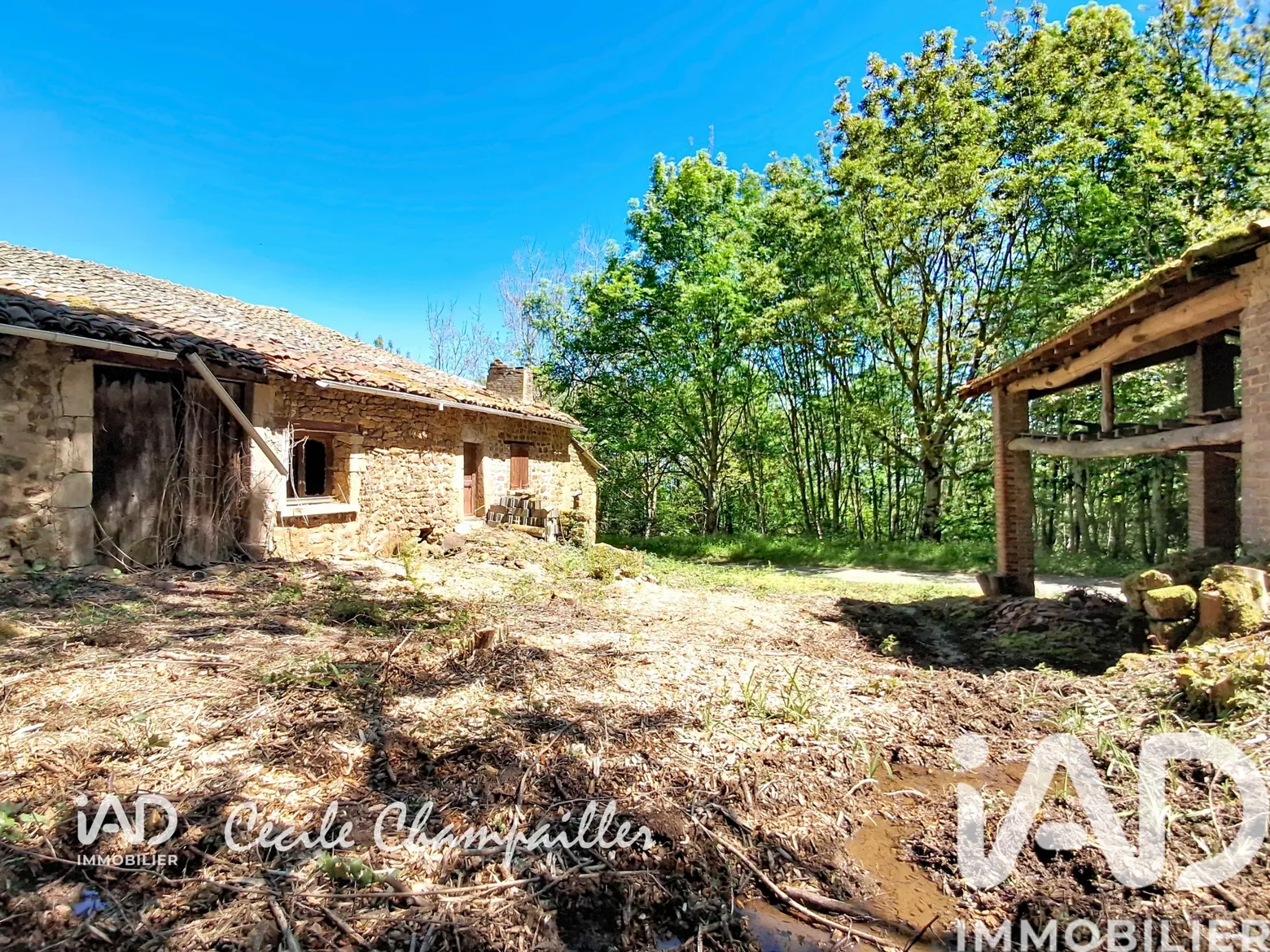 Vente maison à Roisey (42520) : ferme 3 pièces 250 m² — 2