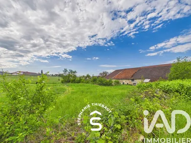 Farm in Gorhey (88270)