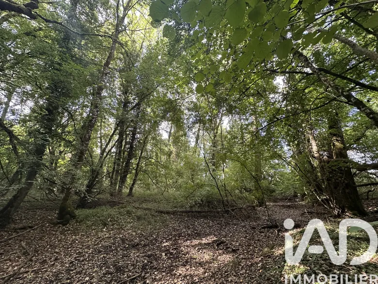 Terrain agricole à Massay (18120) · 29 000 €