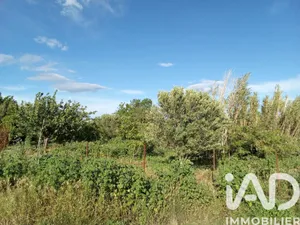 Terrain agricole  à Nézignan-l'Évêque (34120)