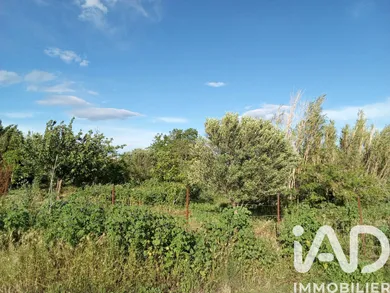 Terrain agricole à Nézignan-l'Évêque (34120)