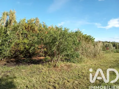 Terrain agricole à Nézignan-l'Évêque (34120)