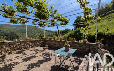 House in Saint-Vincent-de-Durfort (07360)