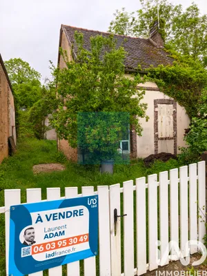 House in Vaumort (89320)