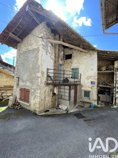 Village house in Poncin (01450)