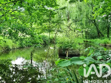 Domain in Bergerac (24100)