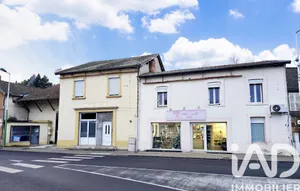 Immeuble à Limons (63290)
