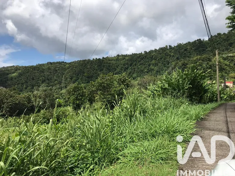 Terrain à Gourbeyre (97113) · 794 000 €