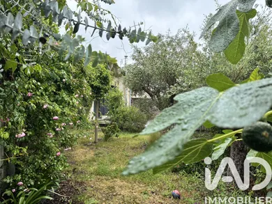Traditional house in Chalonnes-sur-Loire (49290)