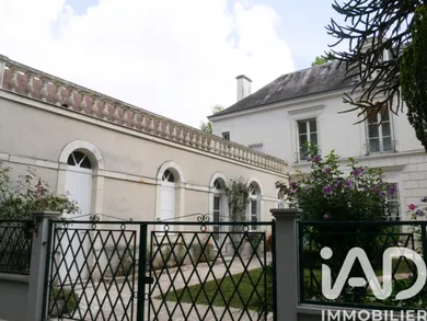 Mansion in Azay-le-Ferron (36290)
