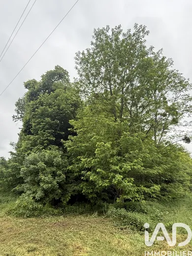 Terrain à Vernou-sur-Brenne (37210)