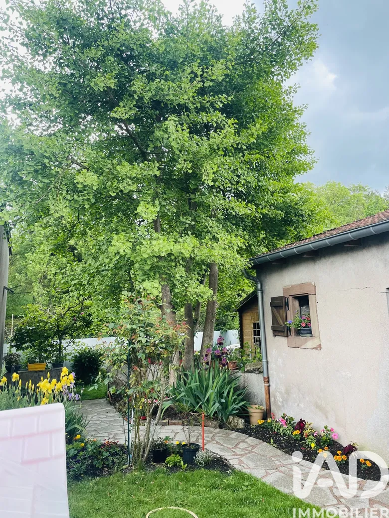 Maison 5 pièces 275 m² · à Dieuze · 275 m² · 345 000 €