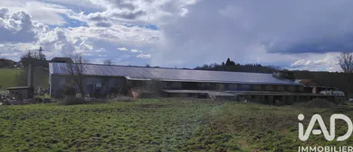 House in Lodes (31800)