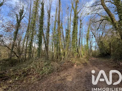Leisure land in Saint-Mesmin (85700)
