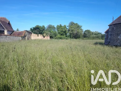 Farm in Vicq-Exemplet (36400)
