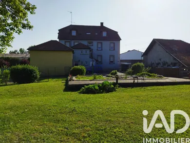 Murs commerciaux à Drulingen (67320)