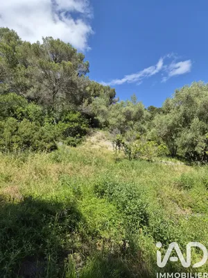 Terrain à Gorbio (06500)