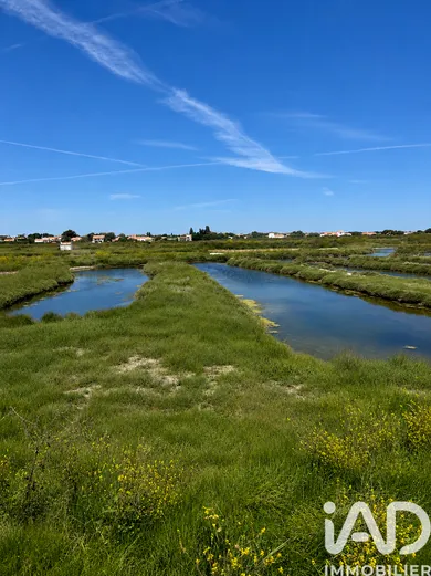 Land in Talmont-Saint-Hilaire (85440)